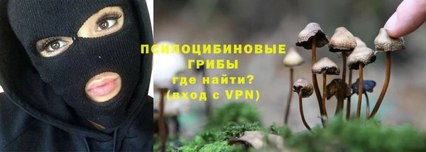 прущая мука Балахна